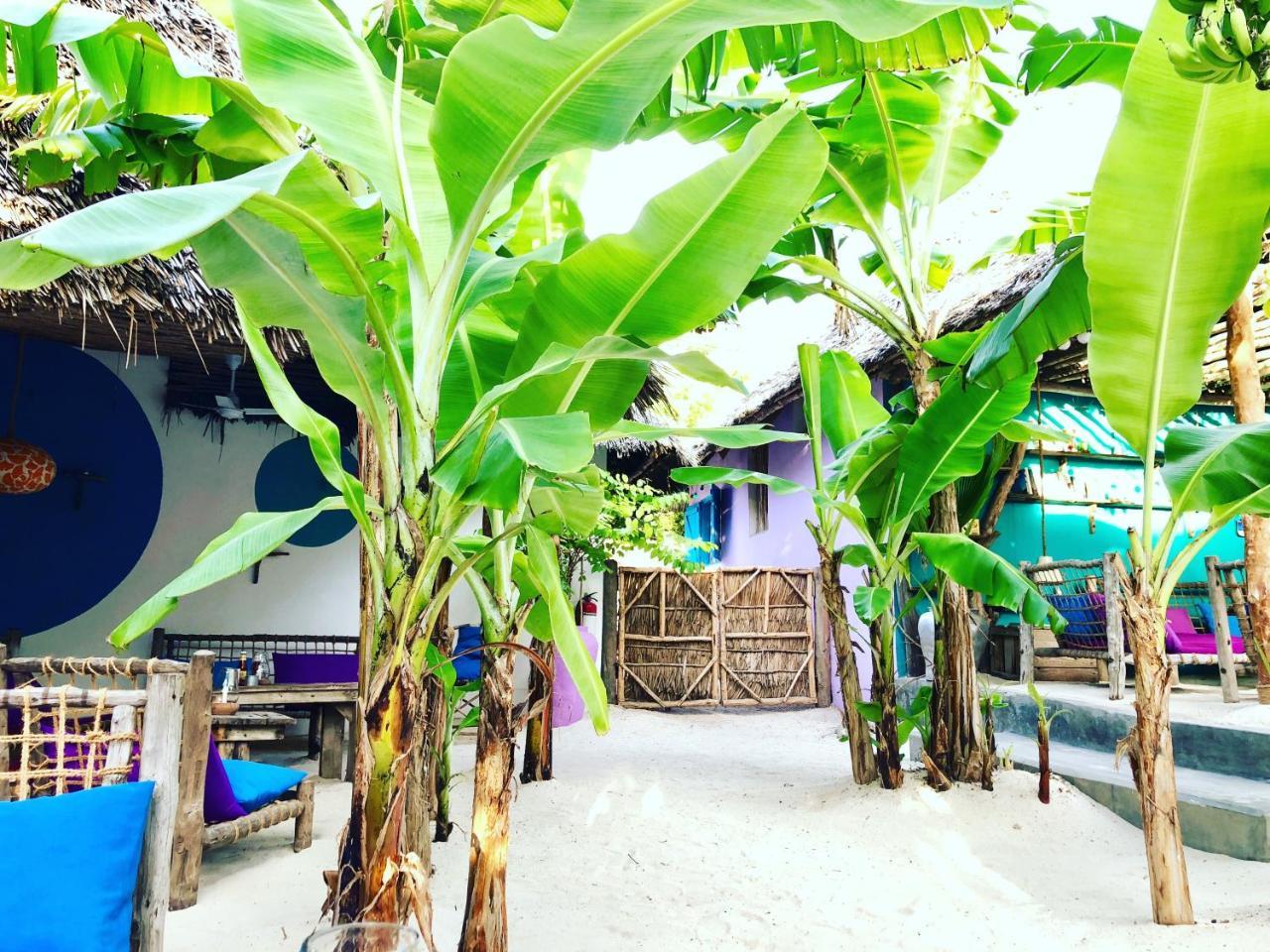 Zanzistar Lodge Jambiani  Exterior foto